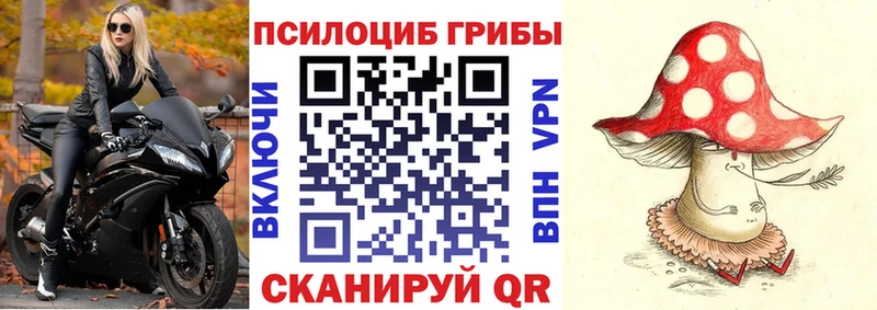 Купить закладки  Катайск  Псилоцибиновые грибы Magic Shrooms 